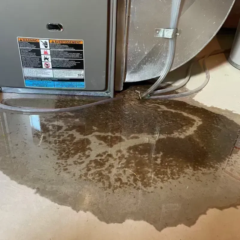 Appliance Leak Cleanup in Dresden, OH